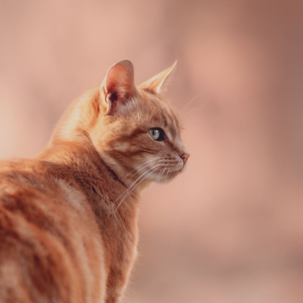 Photograph by Людмила Богуш