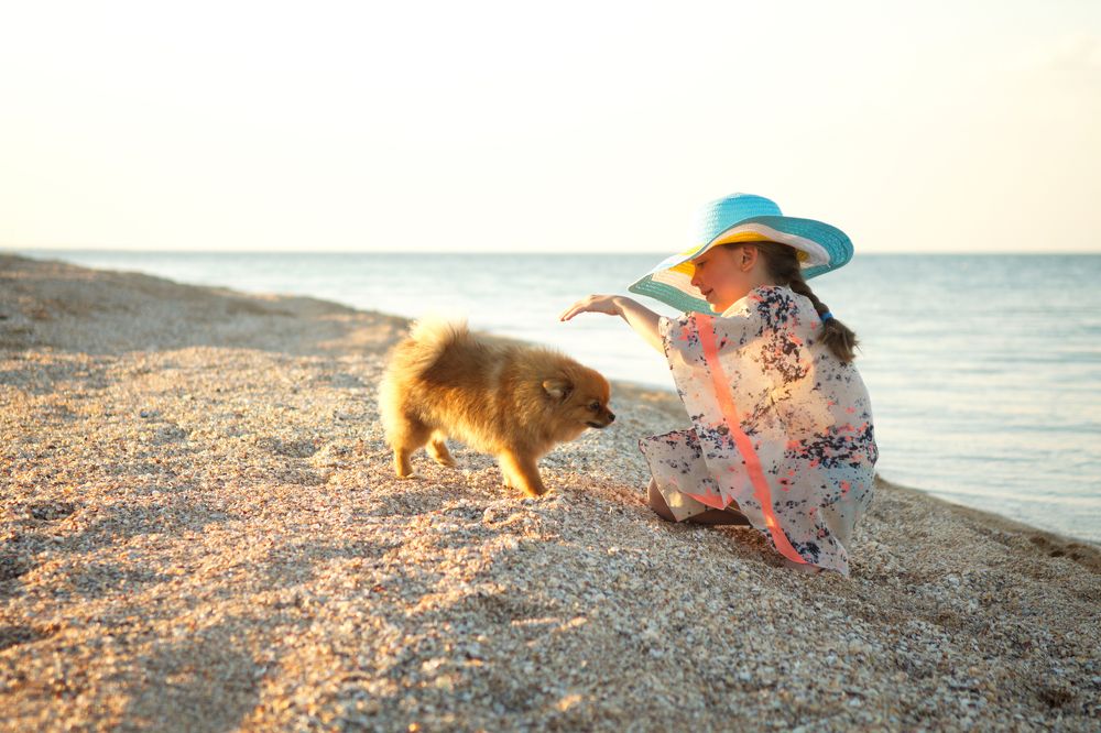 знакомство