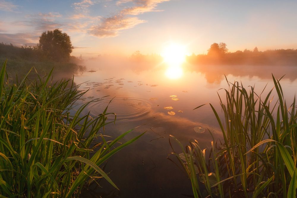 С любовью к природе.