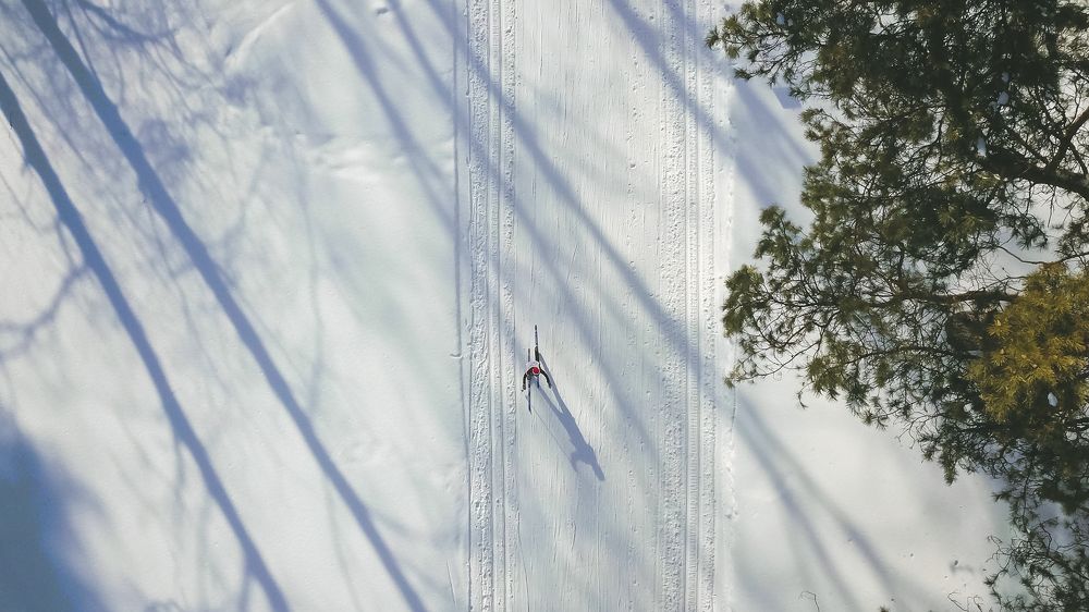 Воля к победе
