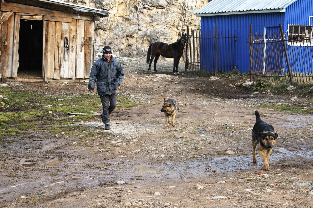 Photograph by Александр Пиленгас