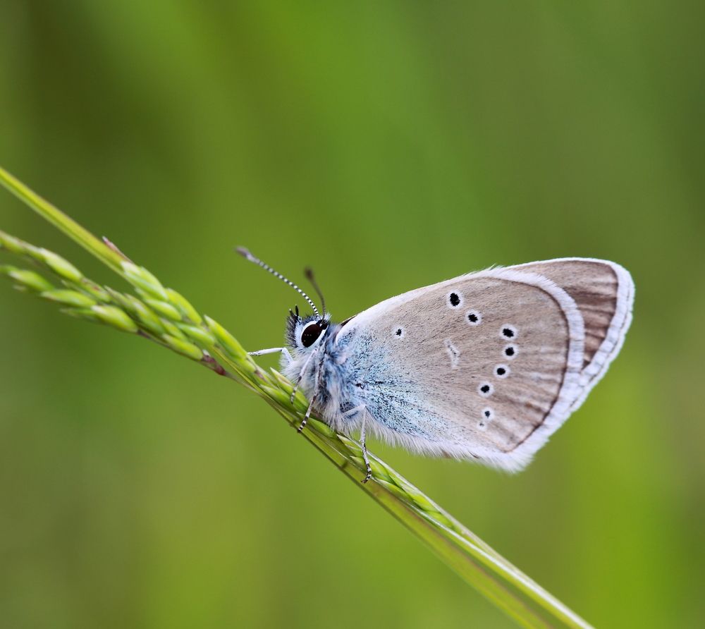 Photograph by Елена Красавина
