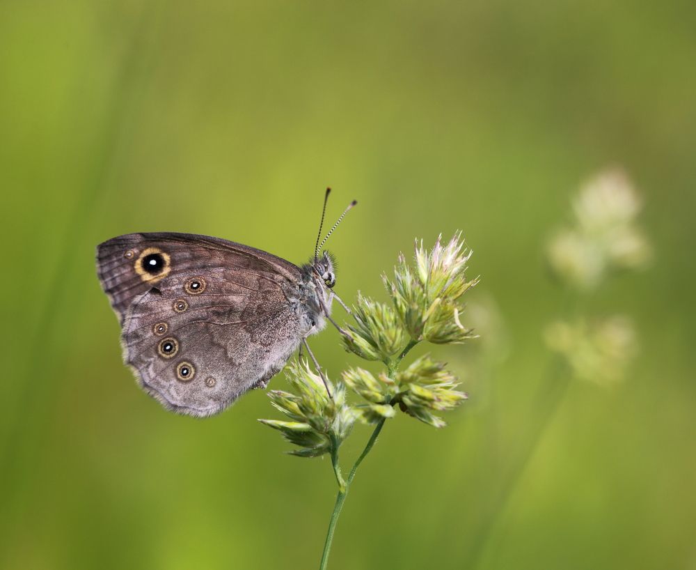 Photograph by Елена Красавина