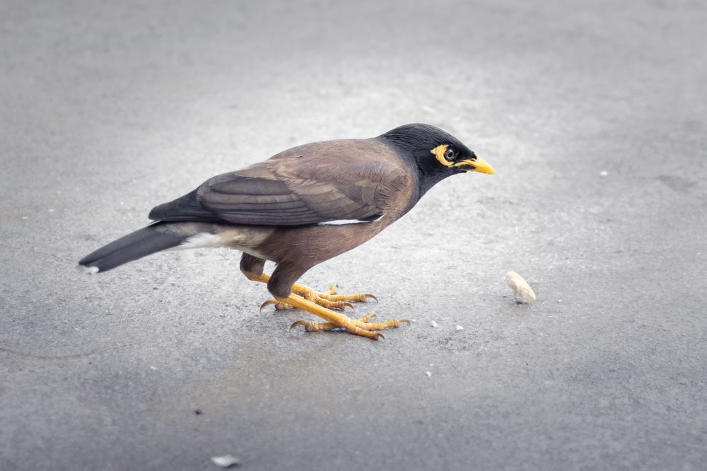 Photograph by Валерия Бунина