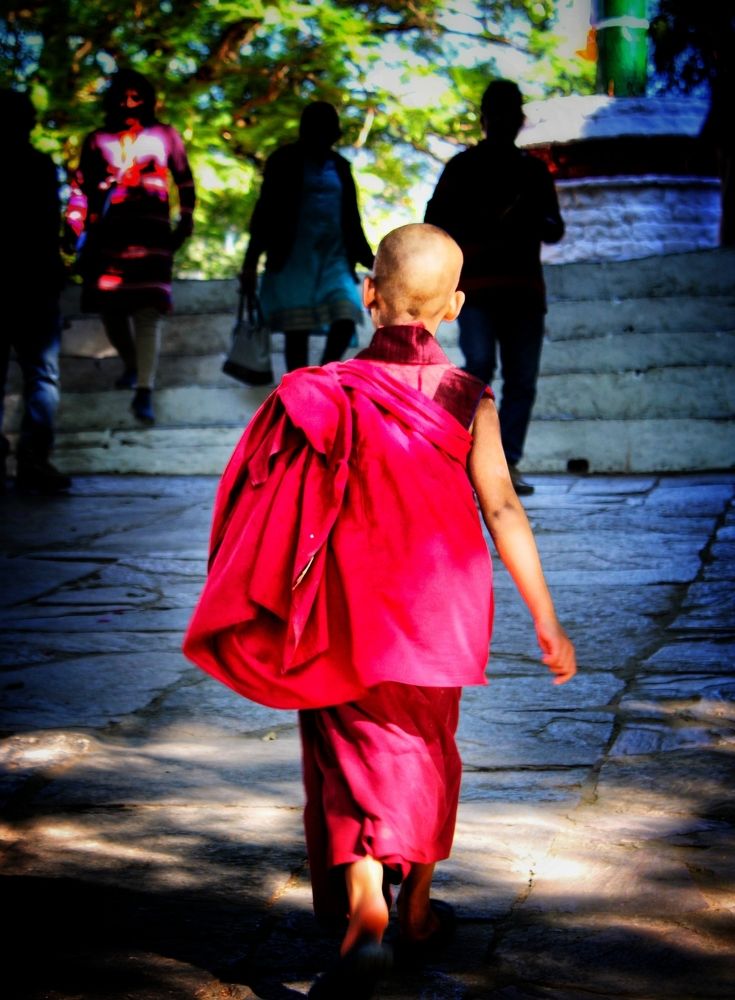 Young Monk in Punakha fortress.