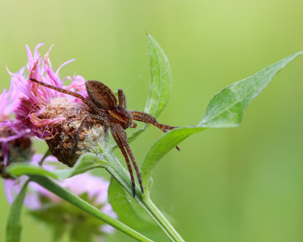 Photograph by Елена Красавина