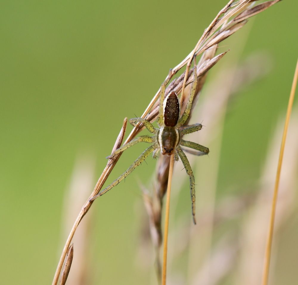 Photograph by Елена Красавина