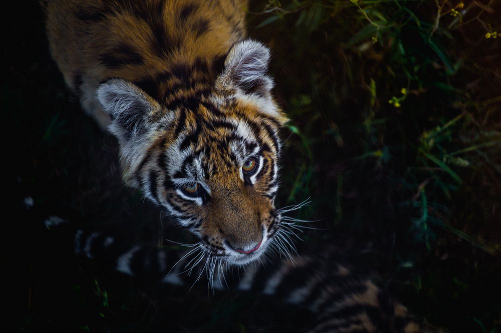 5 минут из жизни