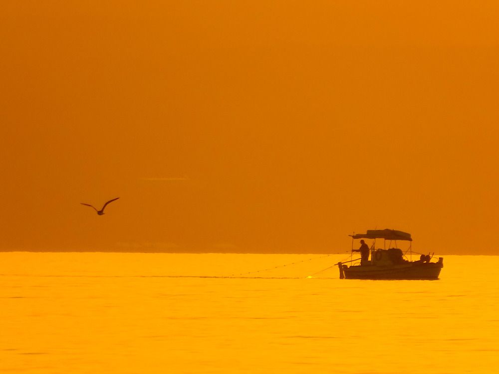 Fishing in the Sunset