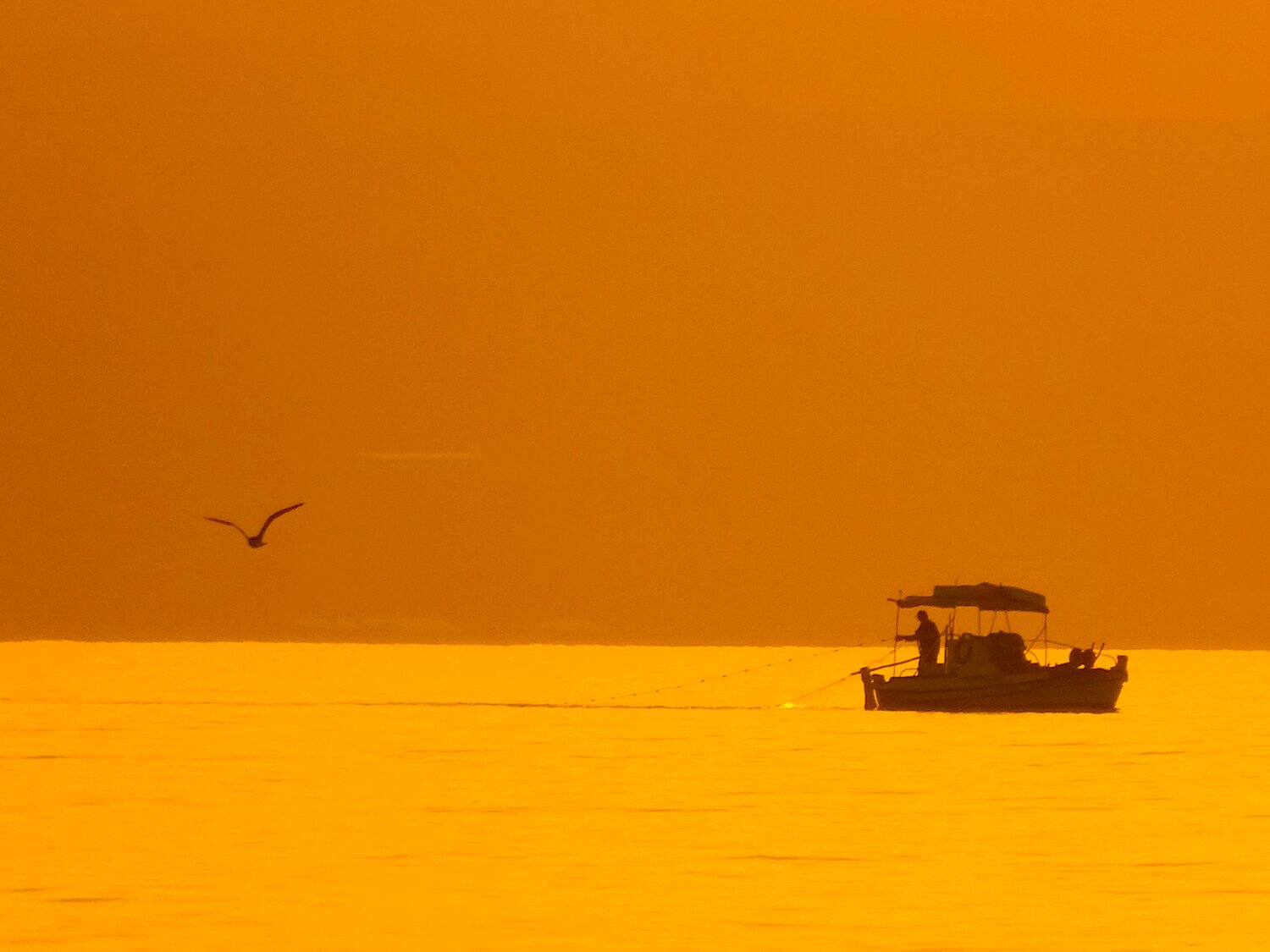 Fishing in the Sunset