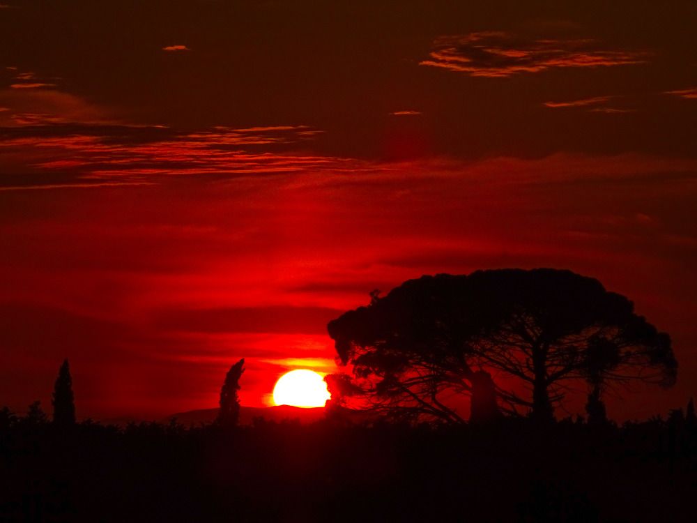 Sunset in the Countryside