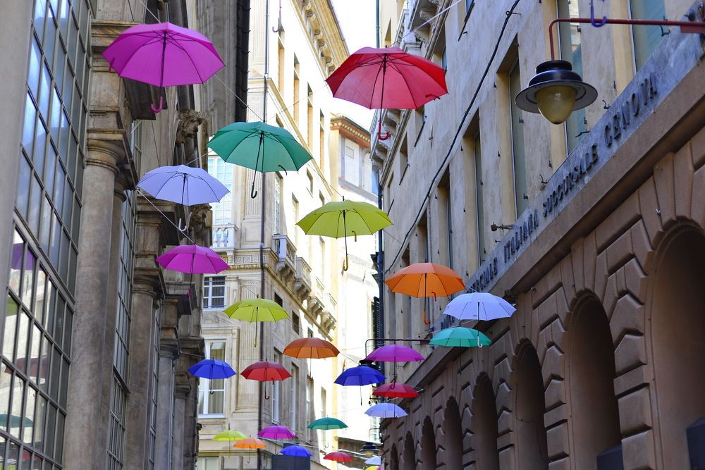 City under umbrellas