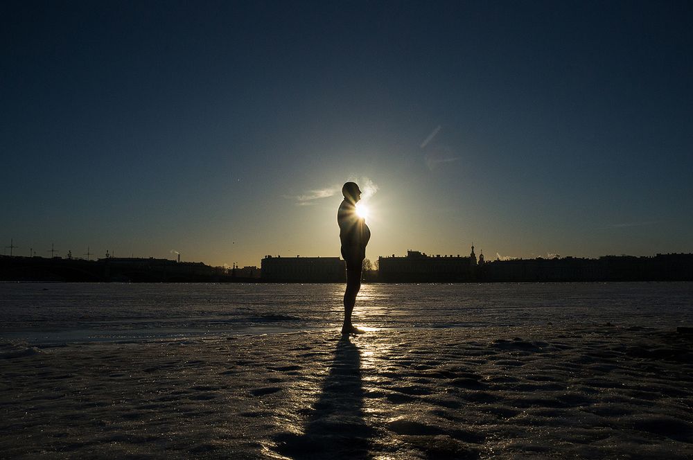 Моржи