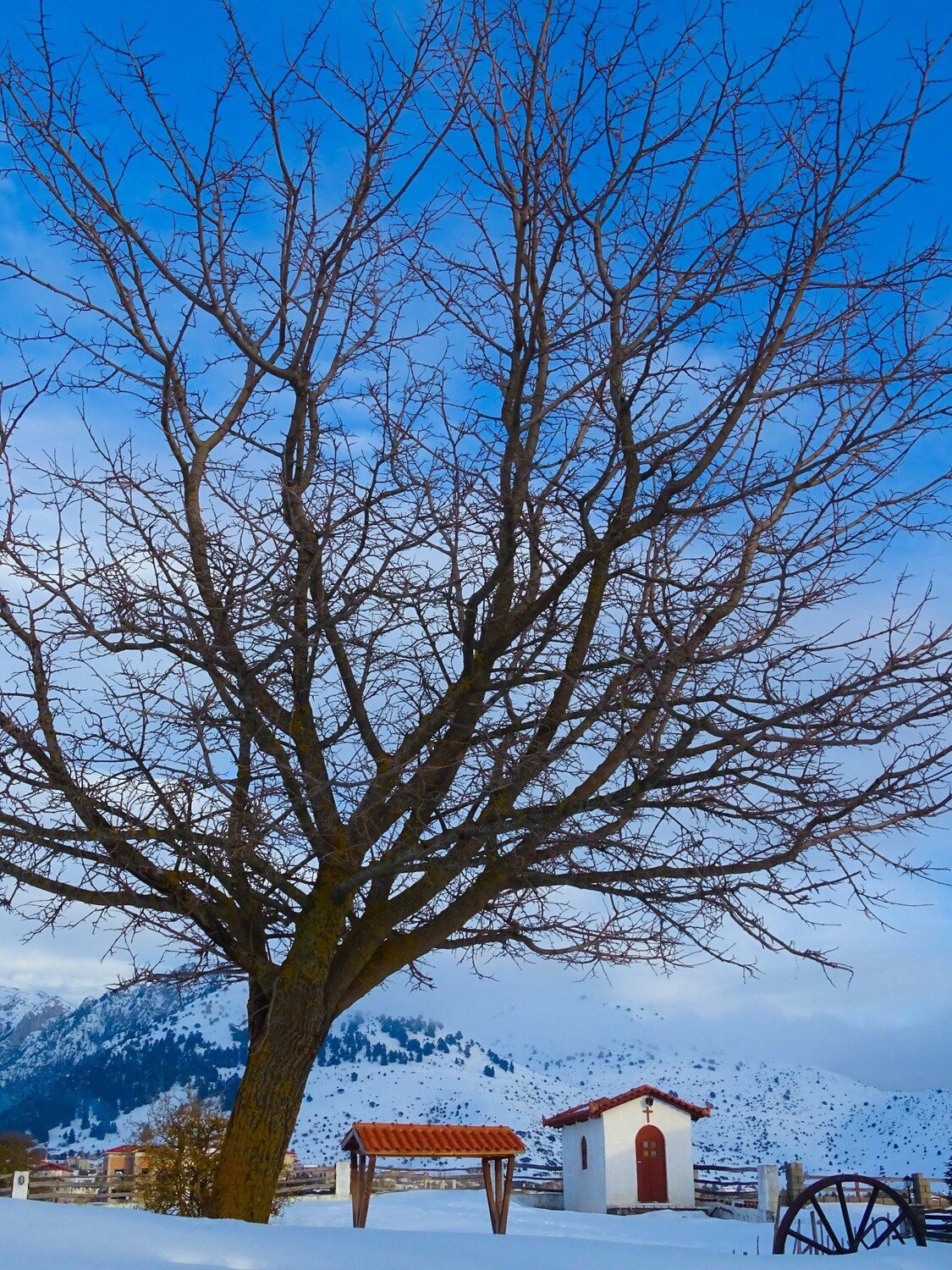 Snowy Day
