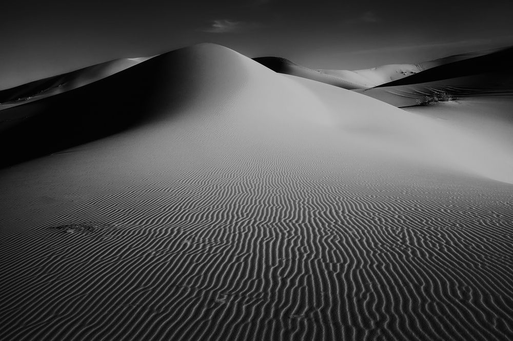 Монохромная Сахара