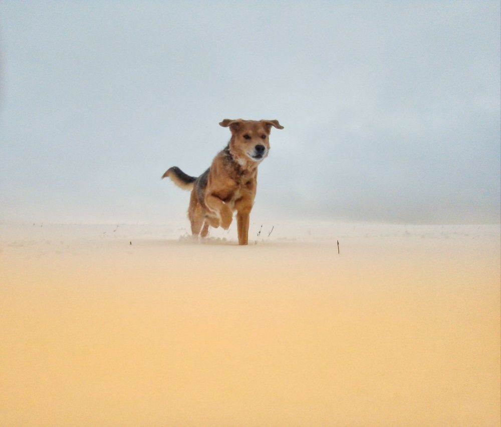 Photo #3042640