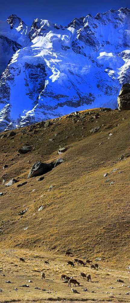 Завтрак по вертикали