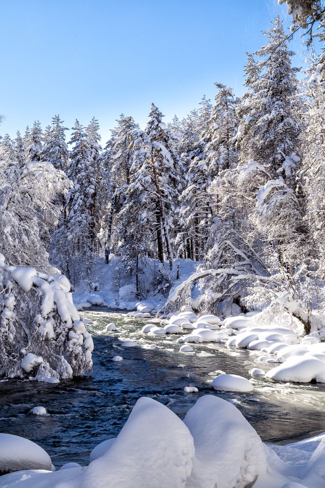 Photograph by Сергей