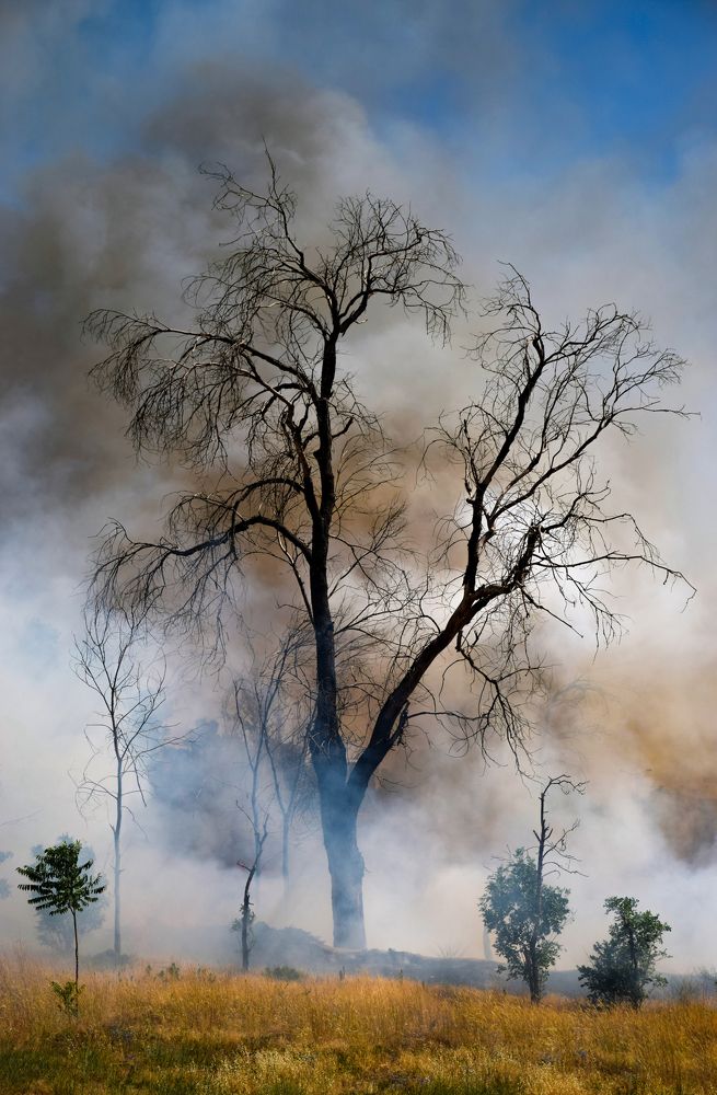 Standing in the dust
