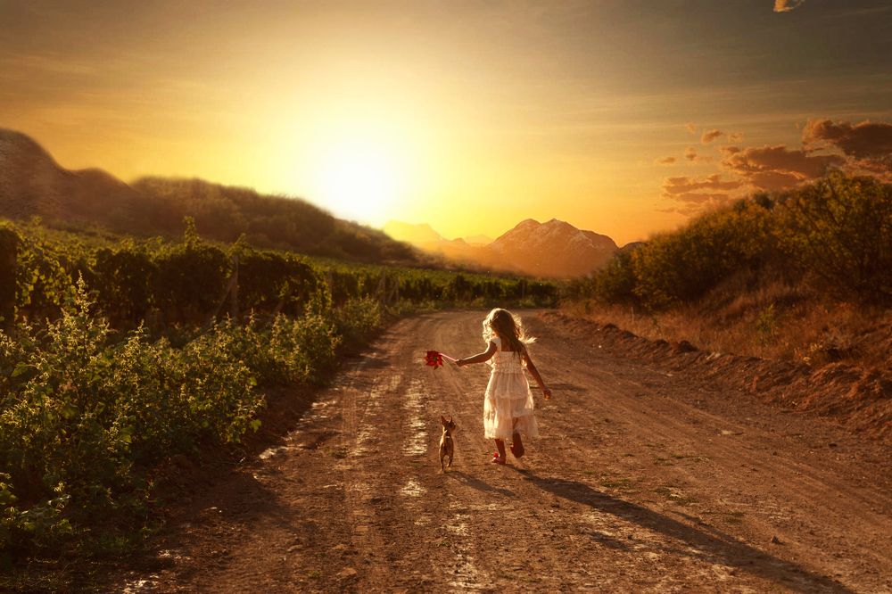 Летний вечер в Крыму