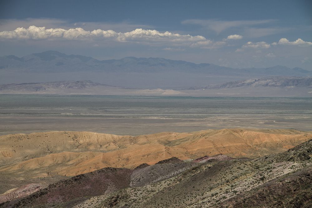 Летний пейзаж