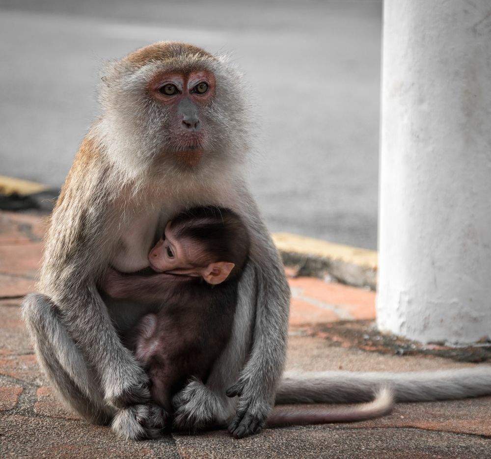 А подружки веселятся