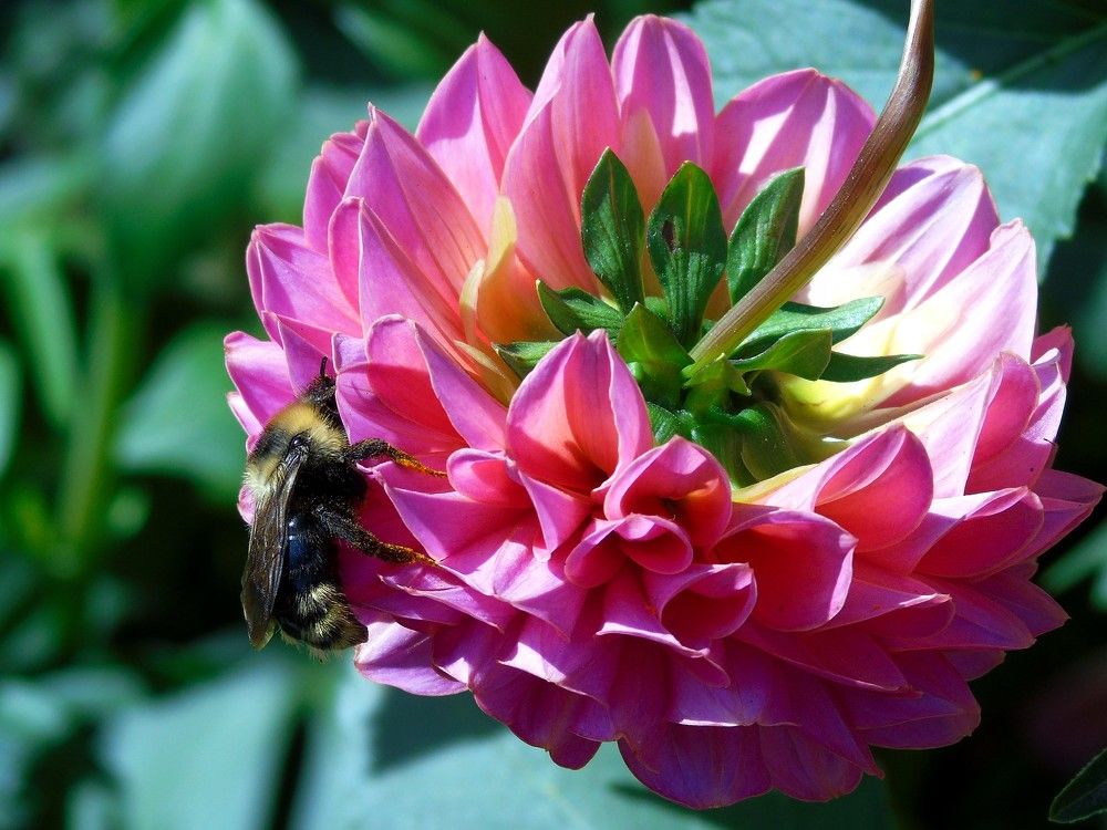 Завтрак