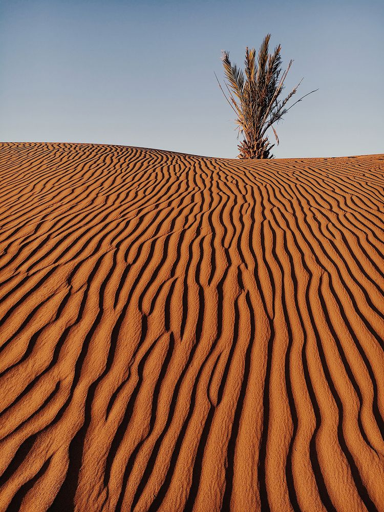 Один в пустыне