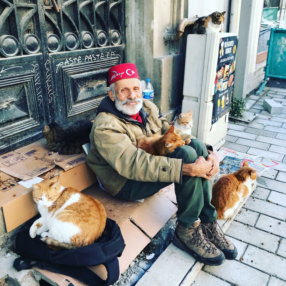 a man and his six street cats