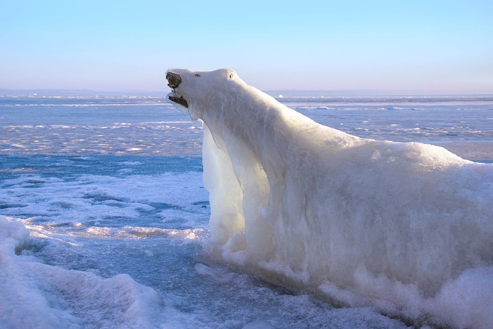 Днепровский медведь
