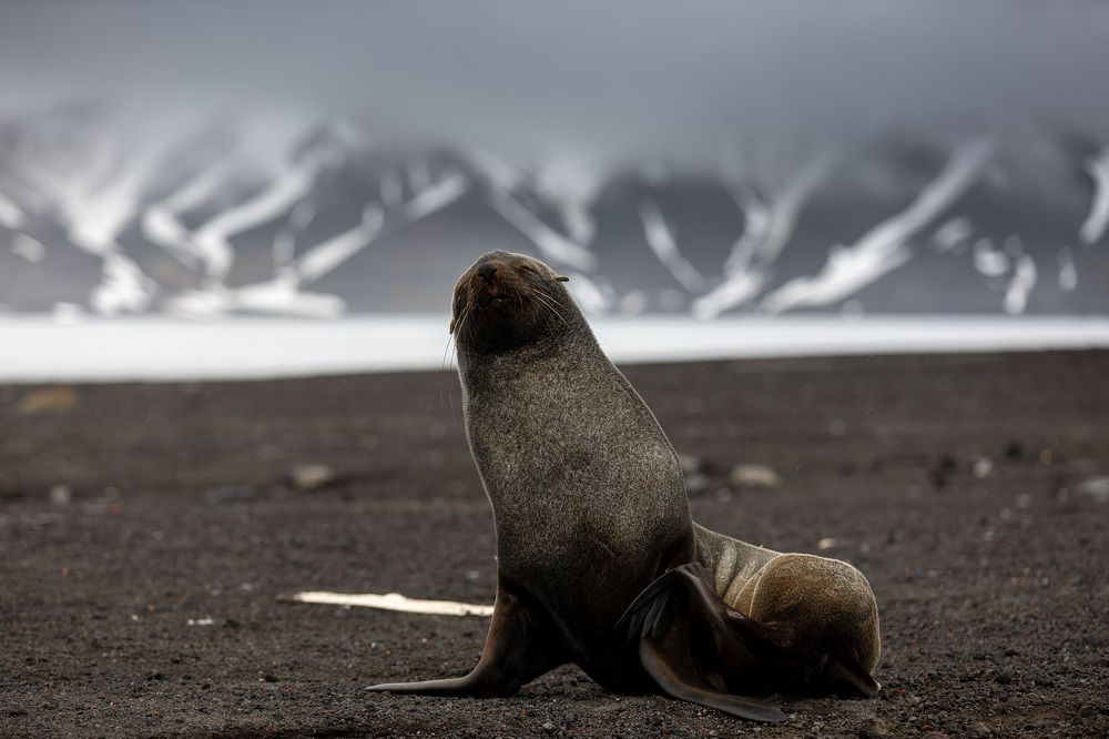 дикий отдых