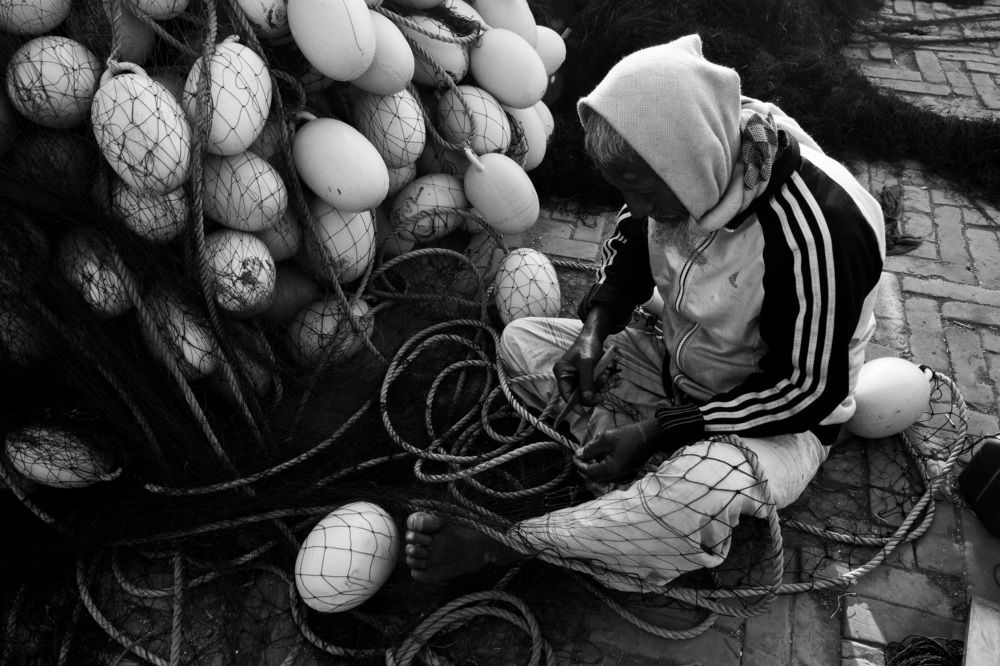 Photograph by  Mohammad Shahid