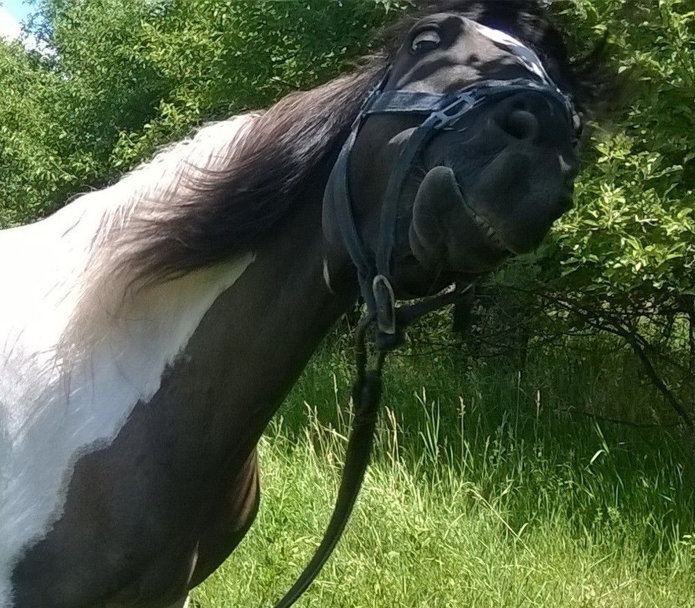 Мои друзья.