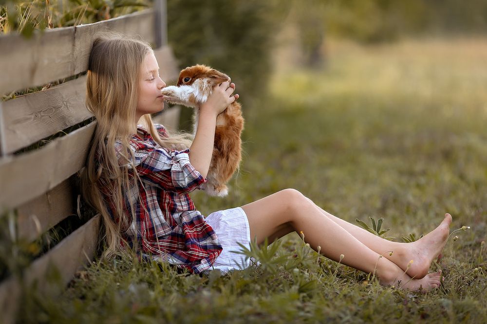 любовь к животным