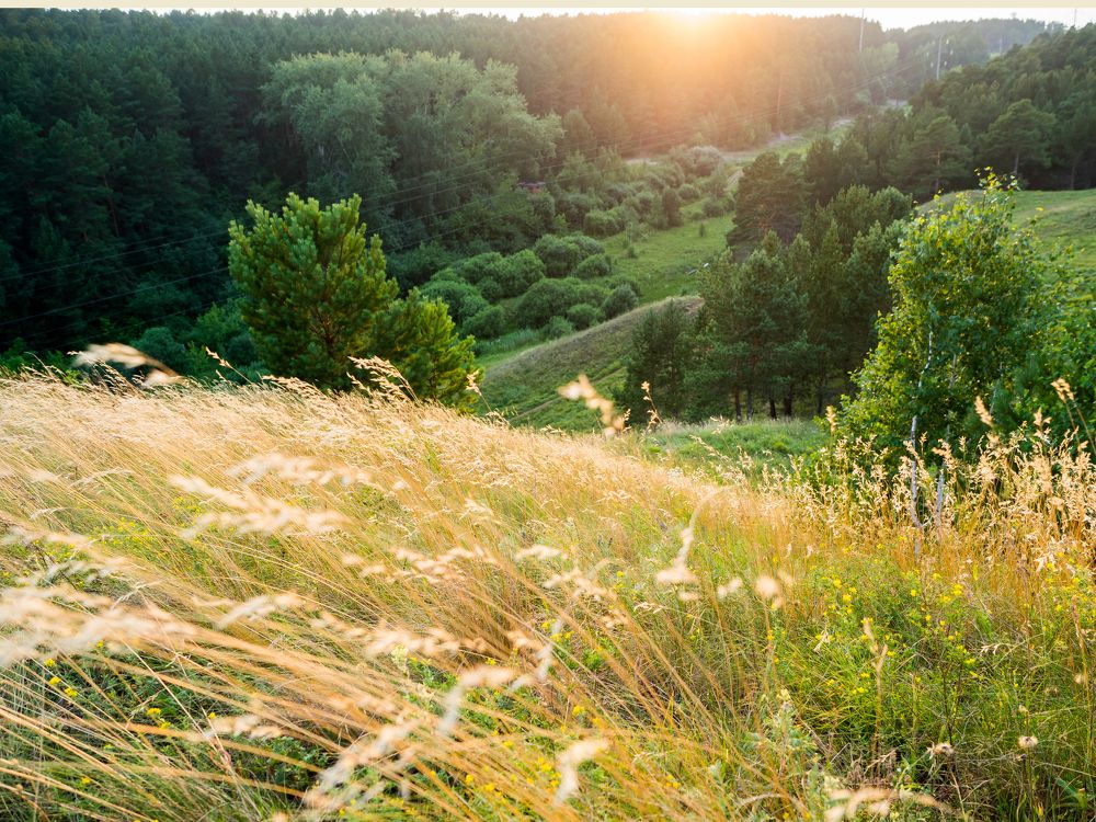 Photograph by Георгий