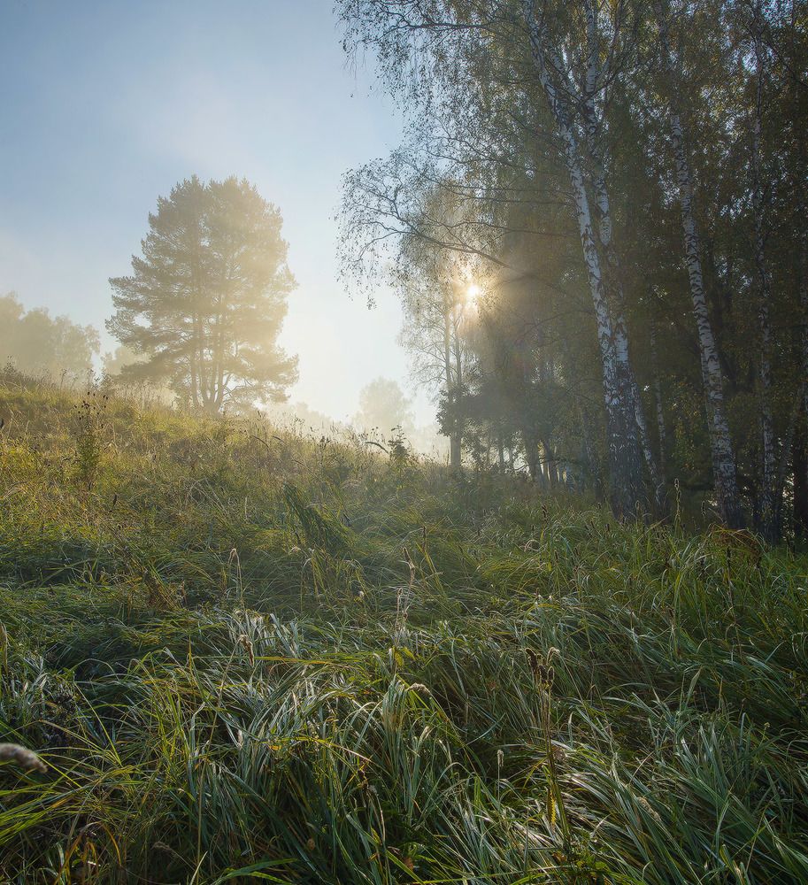 Когда тает туман
