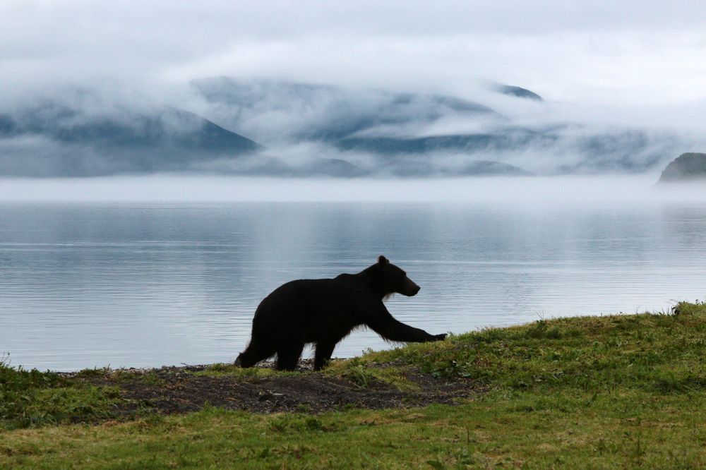 Туман окутал Курильское озеро