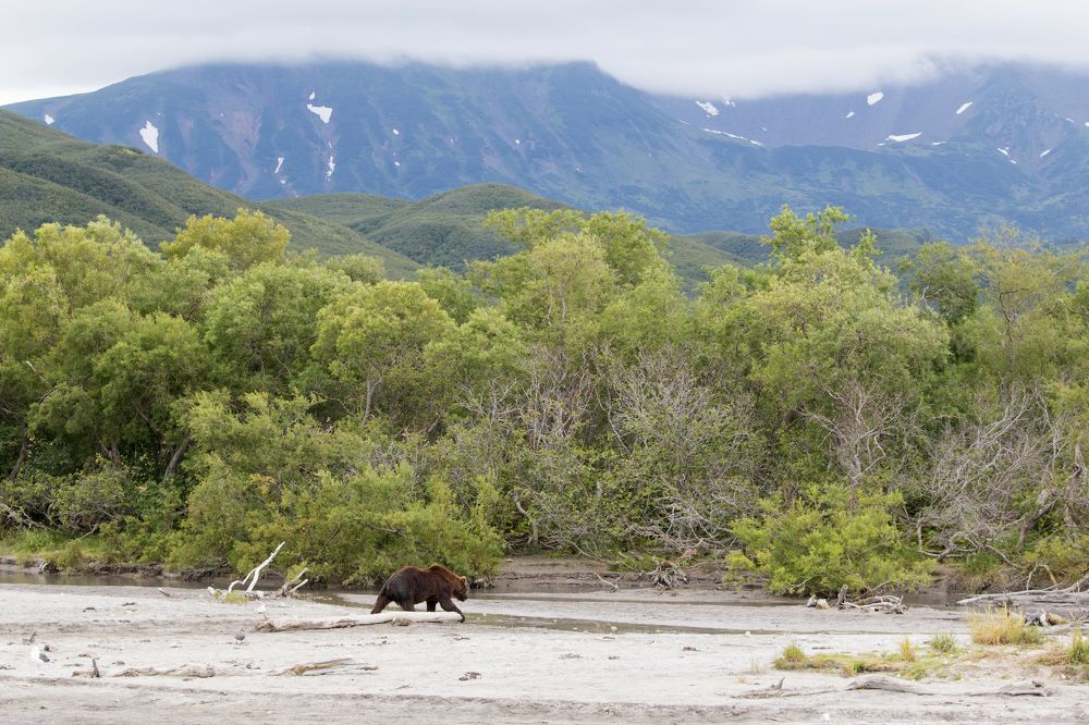 Бесценные пейзажи Курильского озера