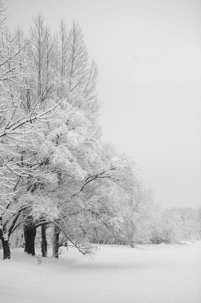 Photograph by Екатерина