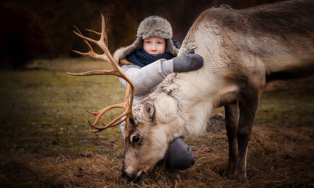 Friend of The Forest. Друг леса.