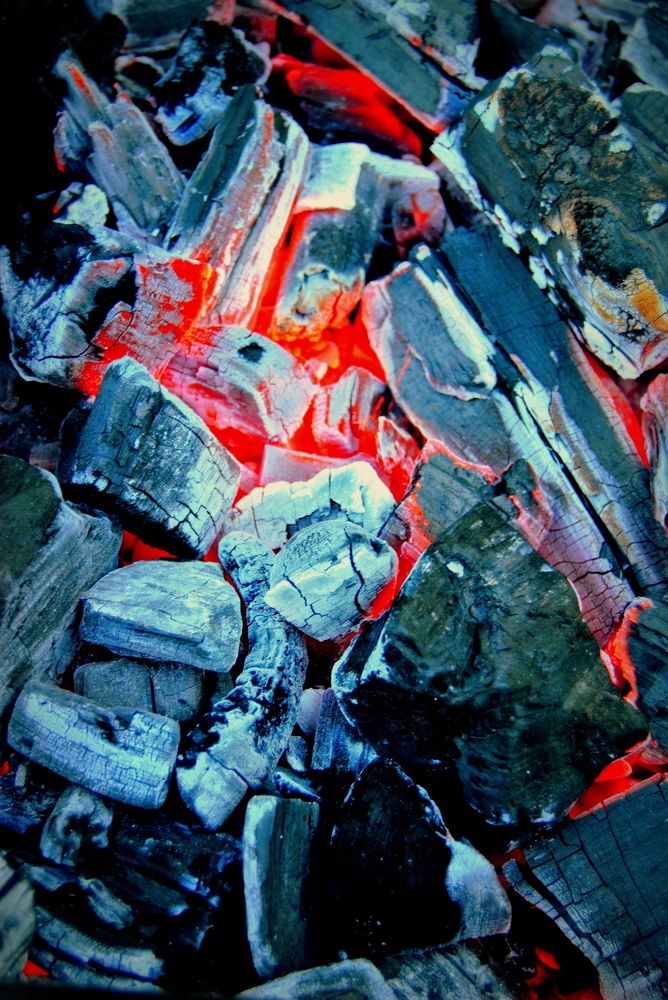 Фотография автора Армен Гарибян