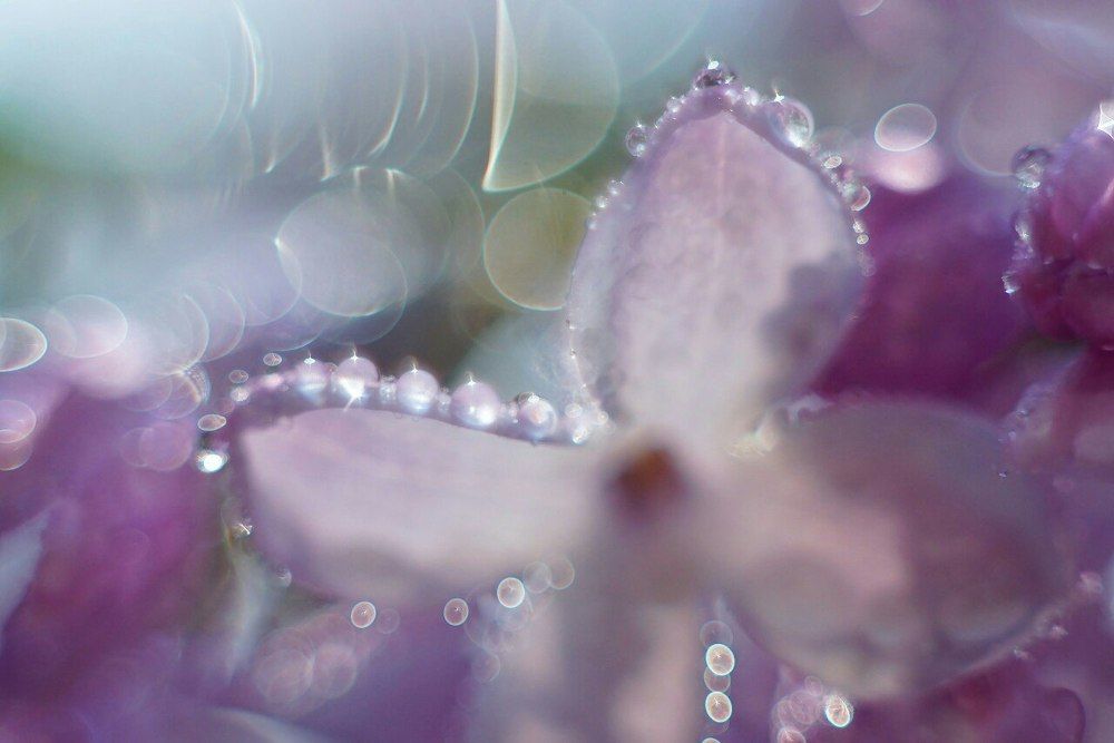 Photograph by Александр Попов