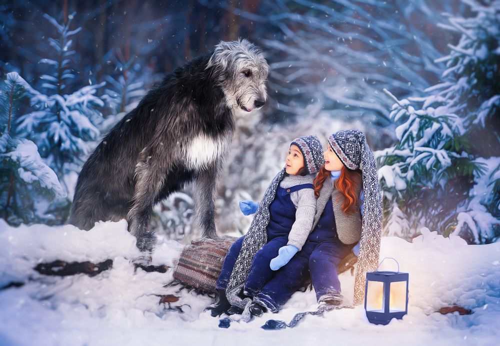 Сказка: Варди, гномики и волшебный фонарь...