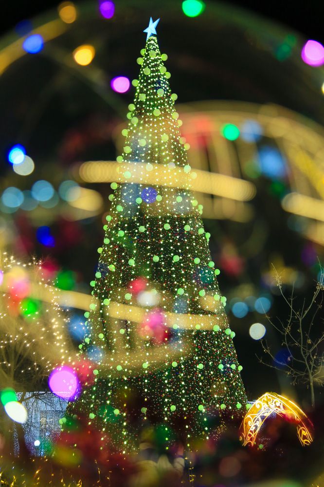 Главная елка Узбекистана