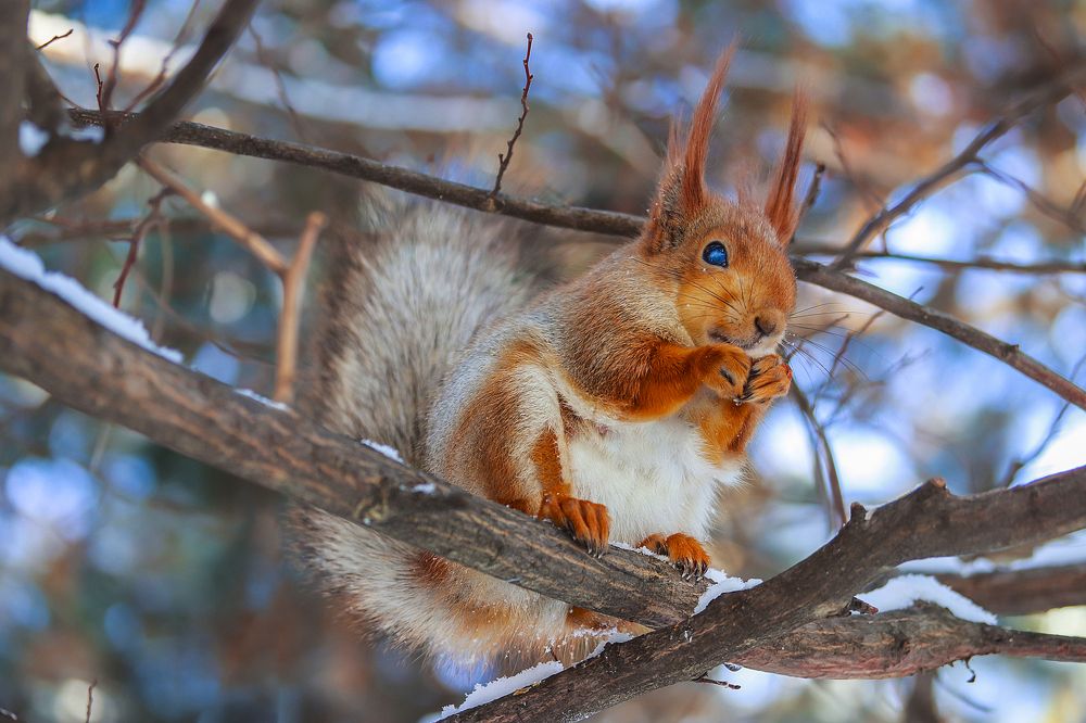Фотография автора Dolli Pogrebnaya