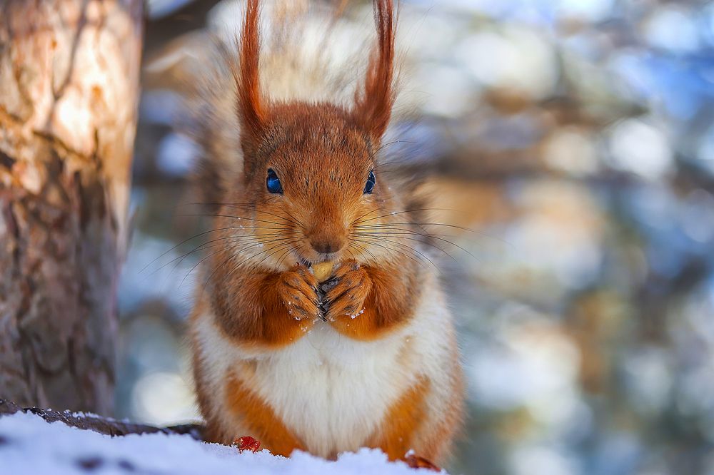 Фотография автора Dolli Pogrebnaya