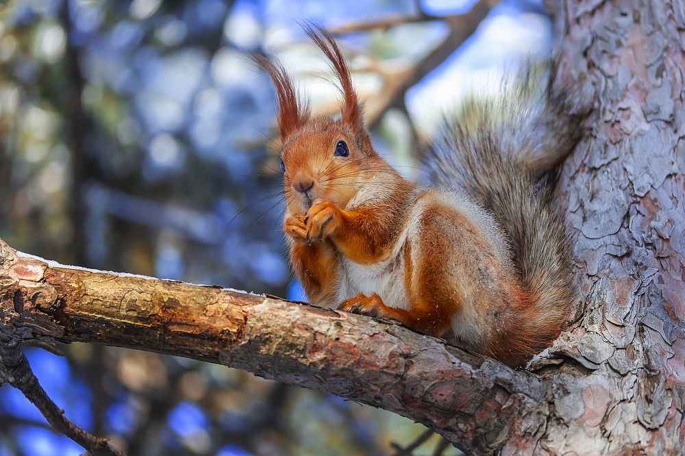 Фотография автора Dolli Pogrebnaya