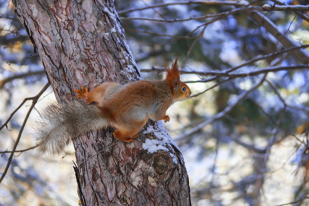 Фотография автора Dolli Pogrebnaya