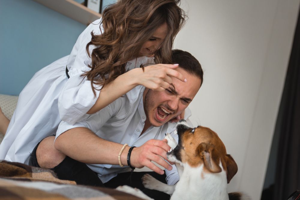 Фотография автора Шевелев Евгений