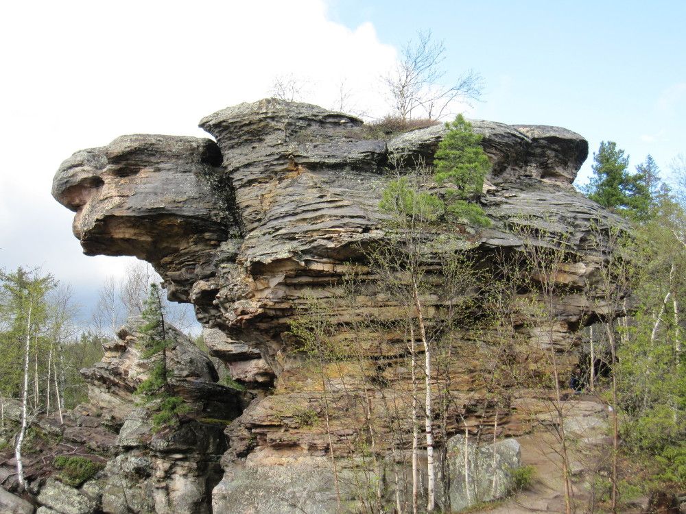скала "Черепаха" в Каменном городе (Пермский край)